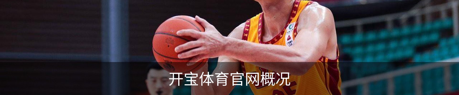 开宝体育官网概况